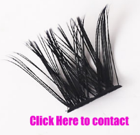 Lash Clusters နှင့် Fluffy Lash Extensions များဖြင့် ရင်သပ်ရှုမောဖွယ်အသွင်အပြင်ကို ရရှိစေပါသည်။